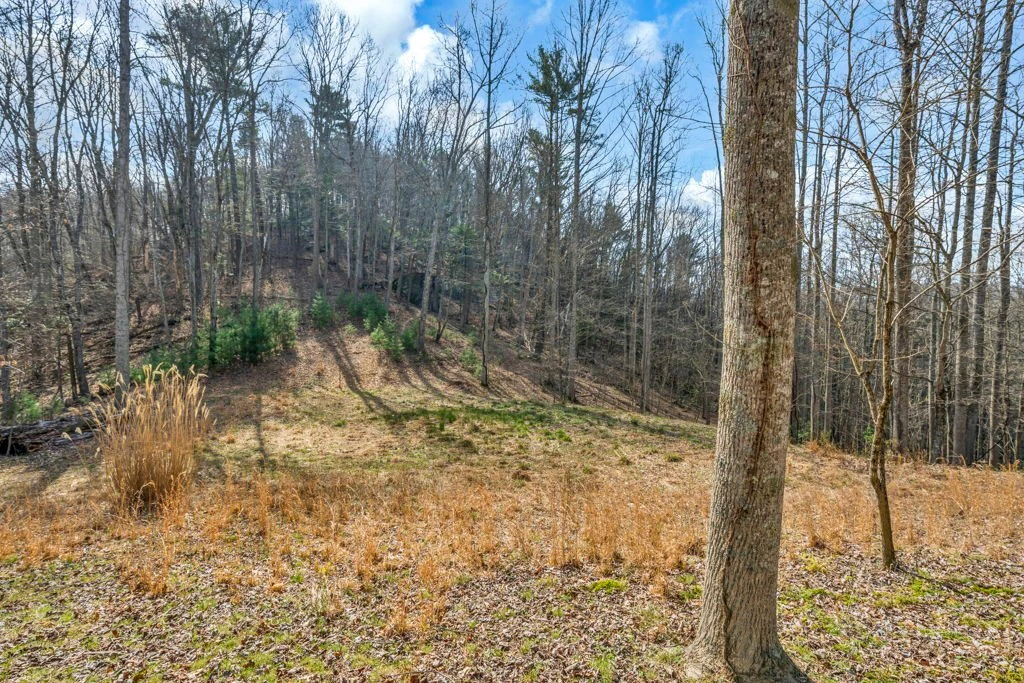 Image number 13 for the current listing