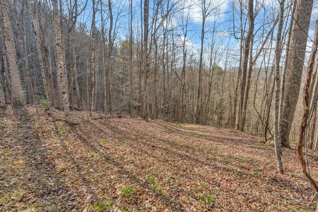 Image number 2 for the current listing
