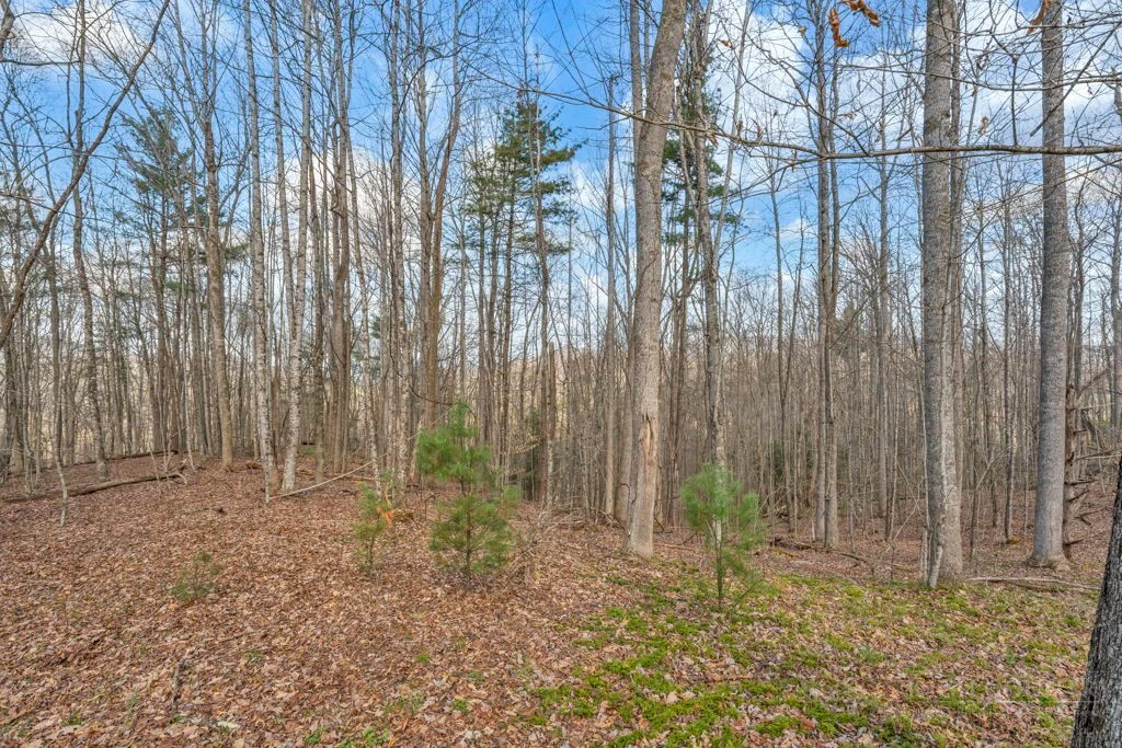 Image number 12 for the current listing