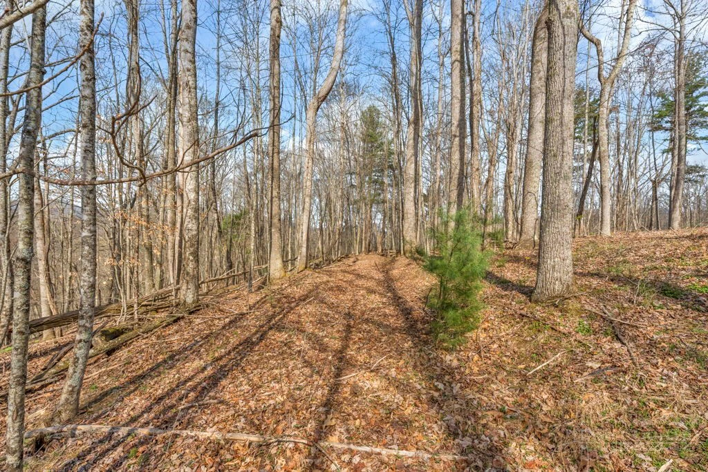 Image number 11 for the current listing