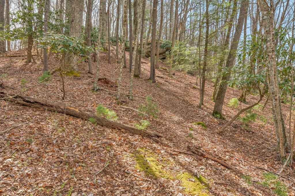 Image number 9 for the current listing