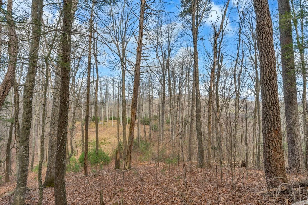 Image number 7 for the current listing