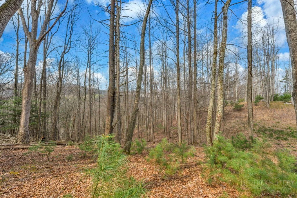 Image number 5 for the current listing
