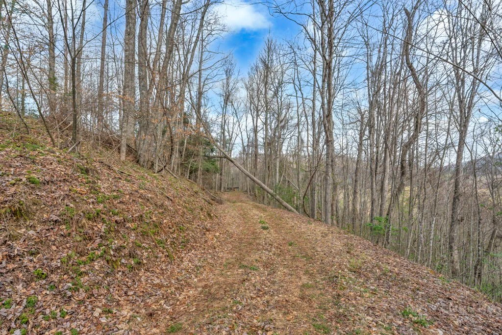 Image number 4 for the current listing
