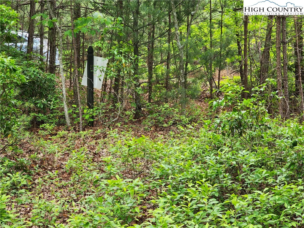 Image number 8 for the current listing