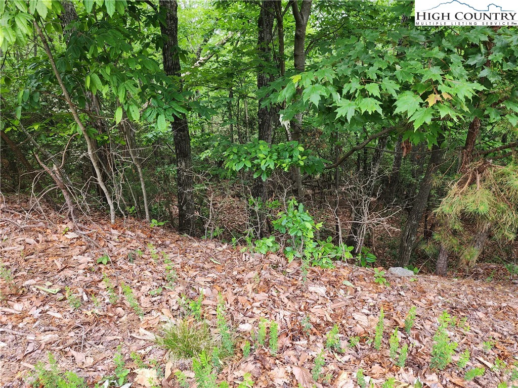 Image number 14 for the current listing