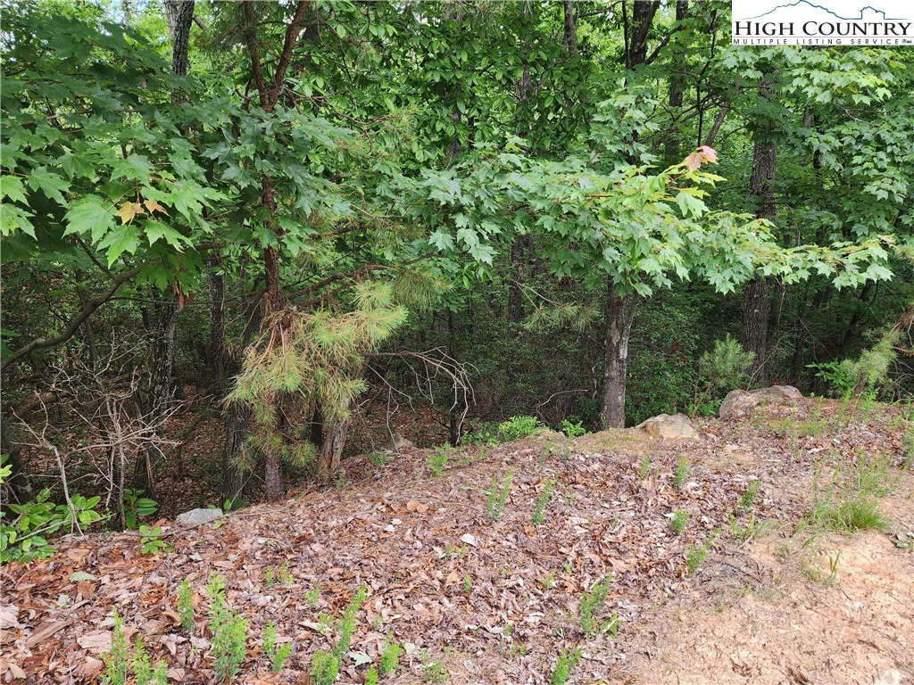 Image number 13 for the current listing