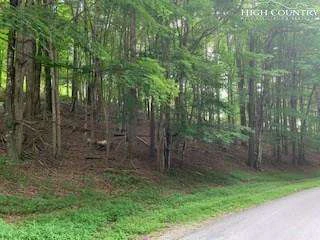 Image number 1 for the current listing