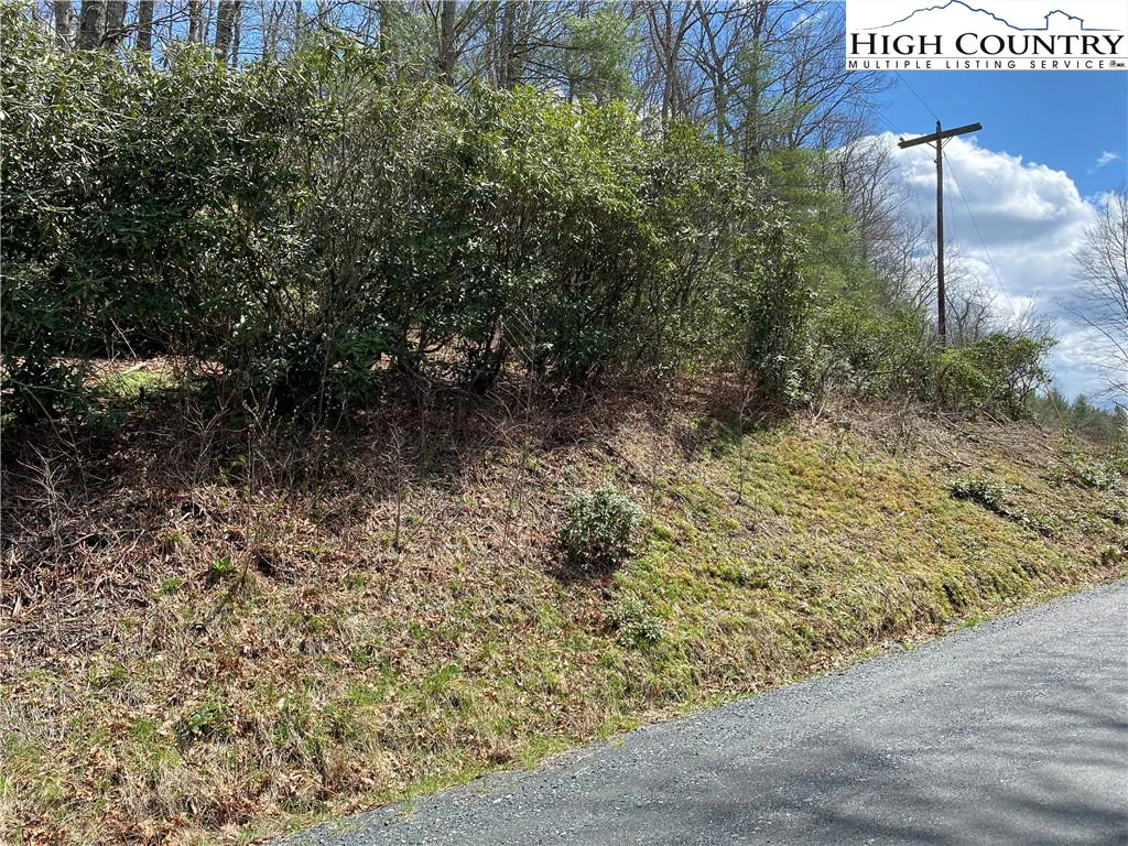 Image number 1 for the current listing