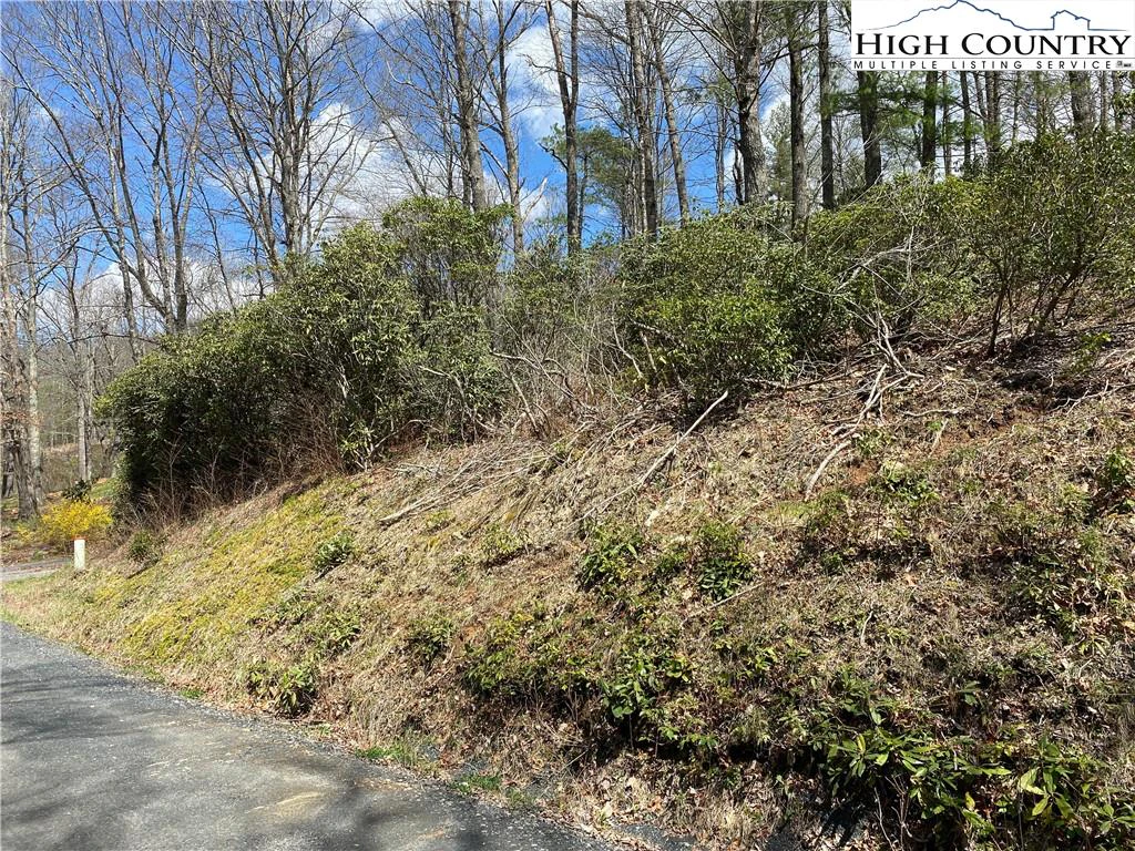 Image number 3 for the current listing