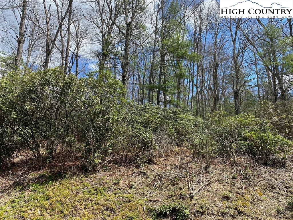 Image number 5 for the current listing