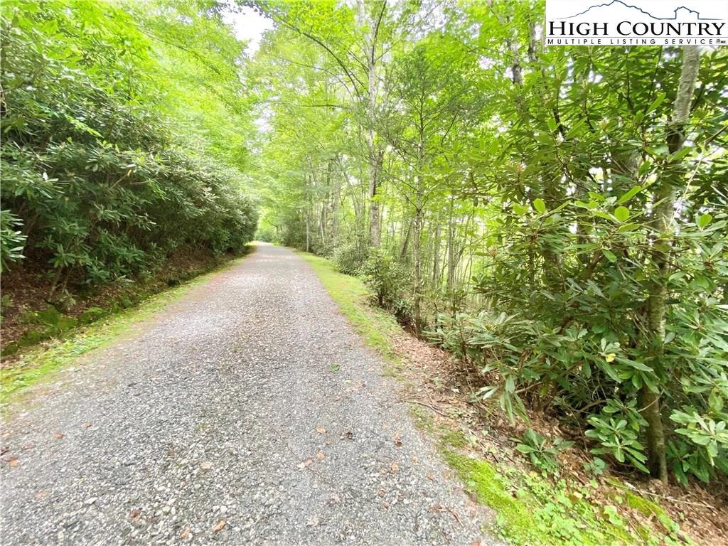 Image number 1 for the current listing