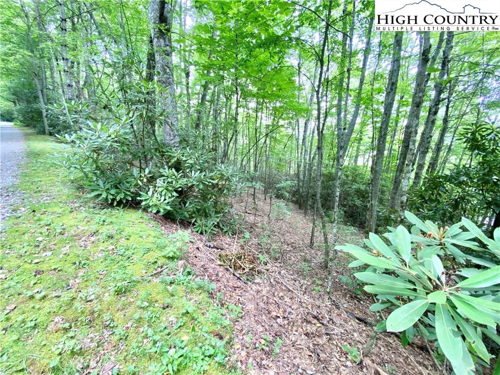 Image number 3 for the current listing