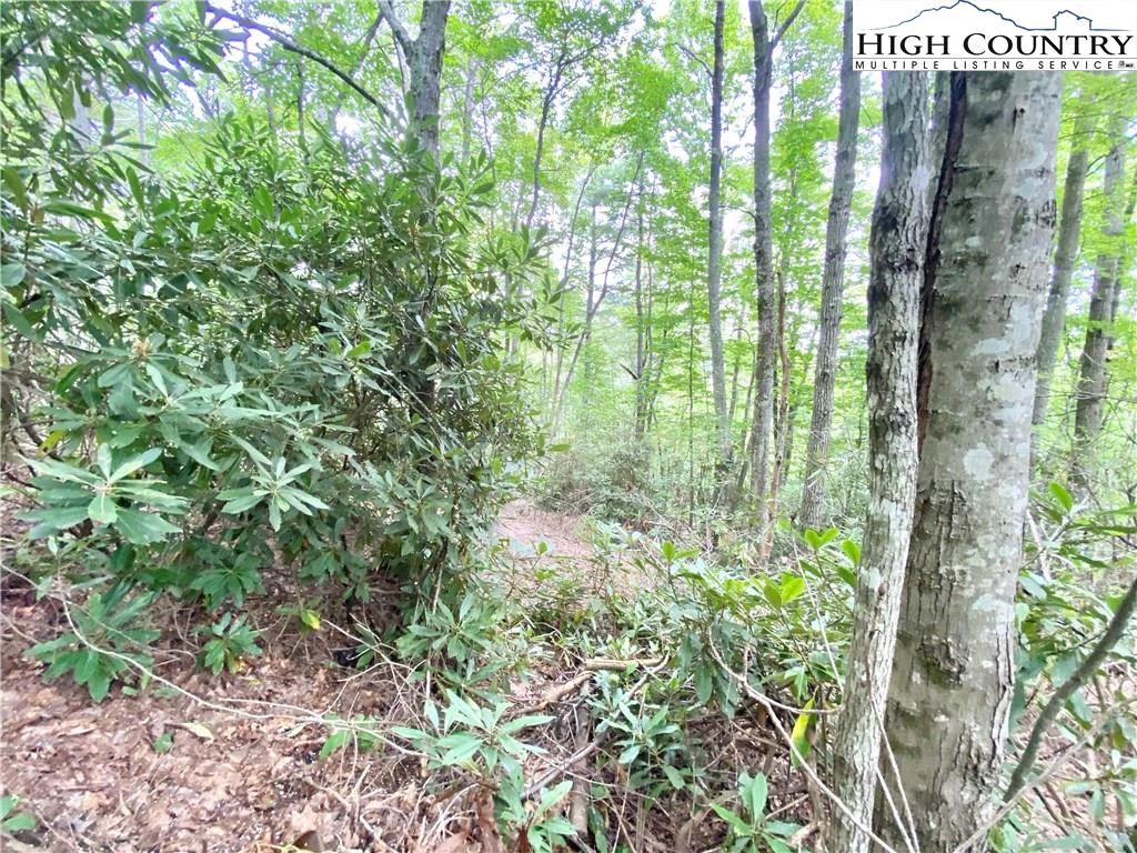 Image number 4 for the current listing