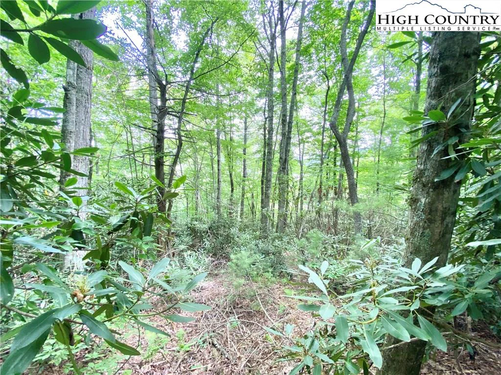 Image number 5 for the current listing