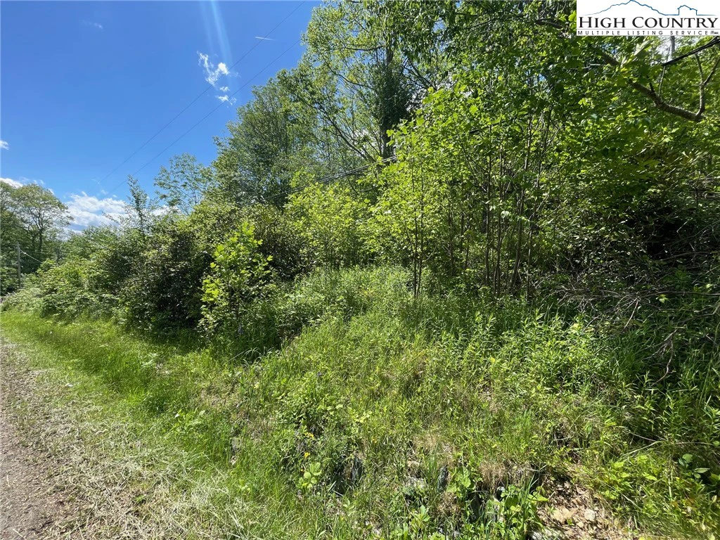 Image number 1 for the current listing