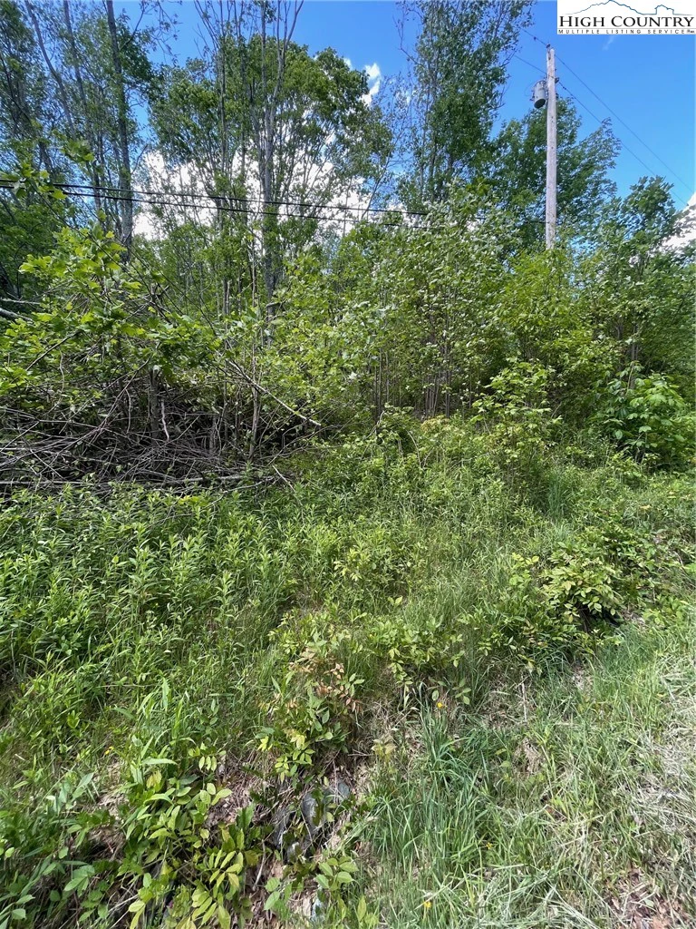 Image number 3 for the current listing