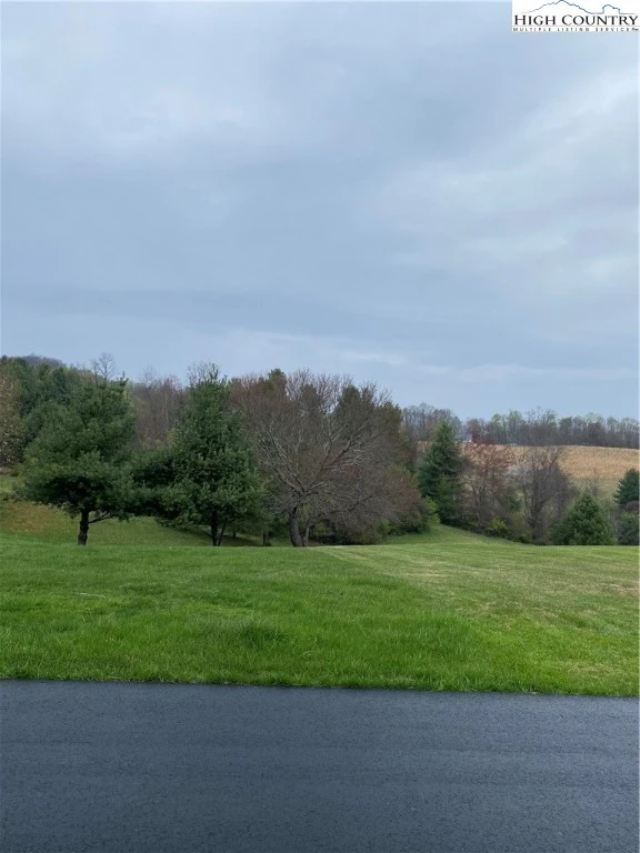 Image number 4 for the current listing