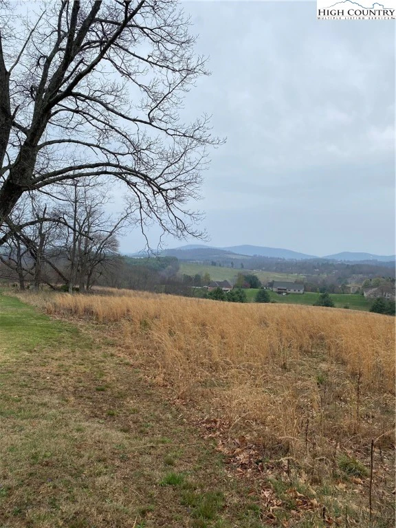 Image number 1 for the current listing