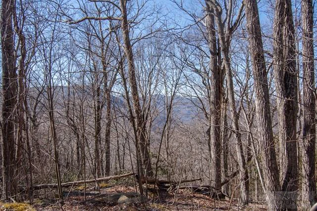 Image number 1 for the current listing