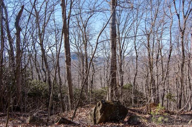Image number 3 for the current listing
