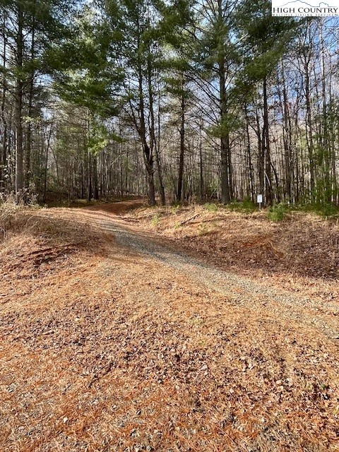 Image number 13 for the current listing