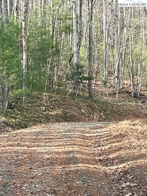 Image number 11 for the current listing
