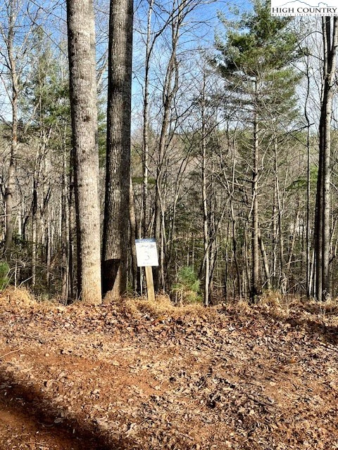 Image number 10 for the current listing
