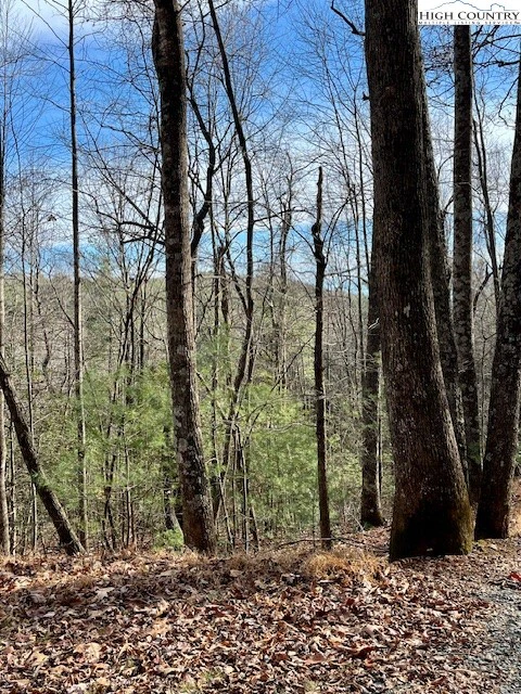 Image number 1 for the current listing