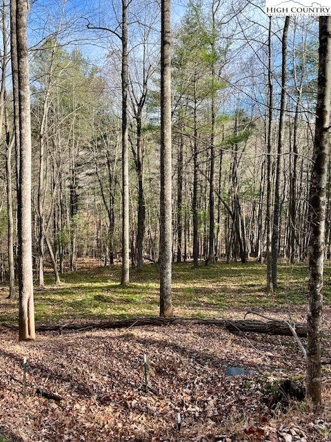 Image number 6 for the current listing