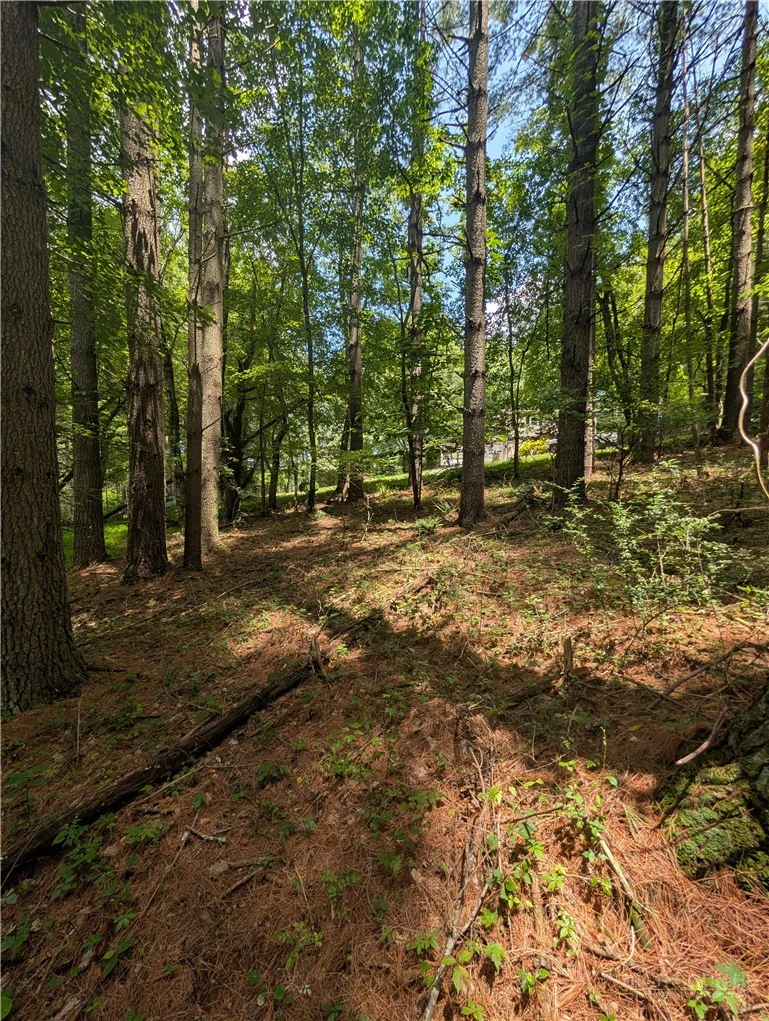 Image number 4 for the current listing