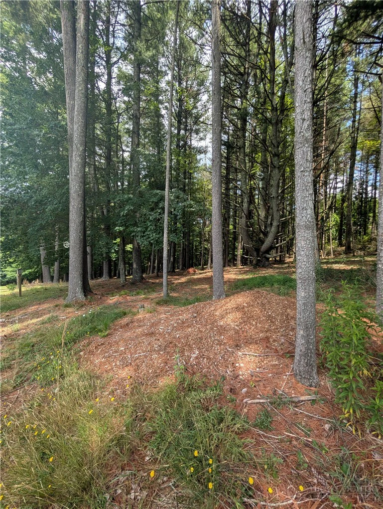 Image number 6 for the current listing