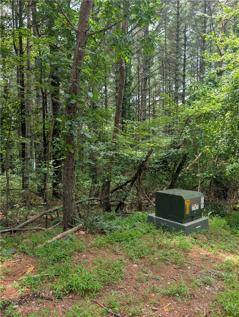 Image number 2 for the current listing