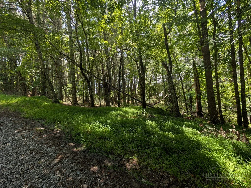 Image number 9 for the current listing