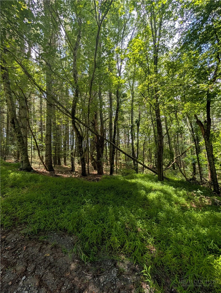Image number 10 for the current listing
