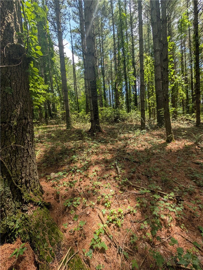 Image number 1 for the current listing