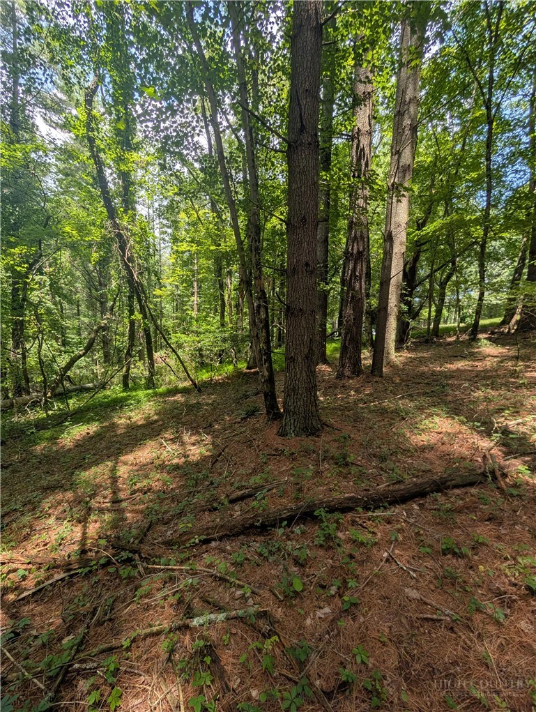 Image number 12 for the current listing