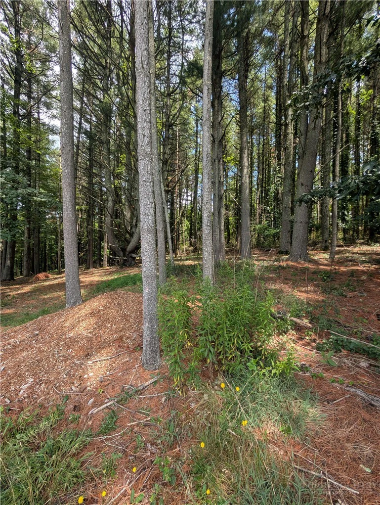 Image number 15 for the current listing
