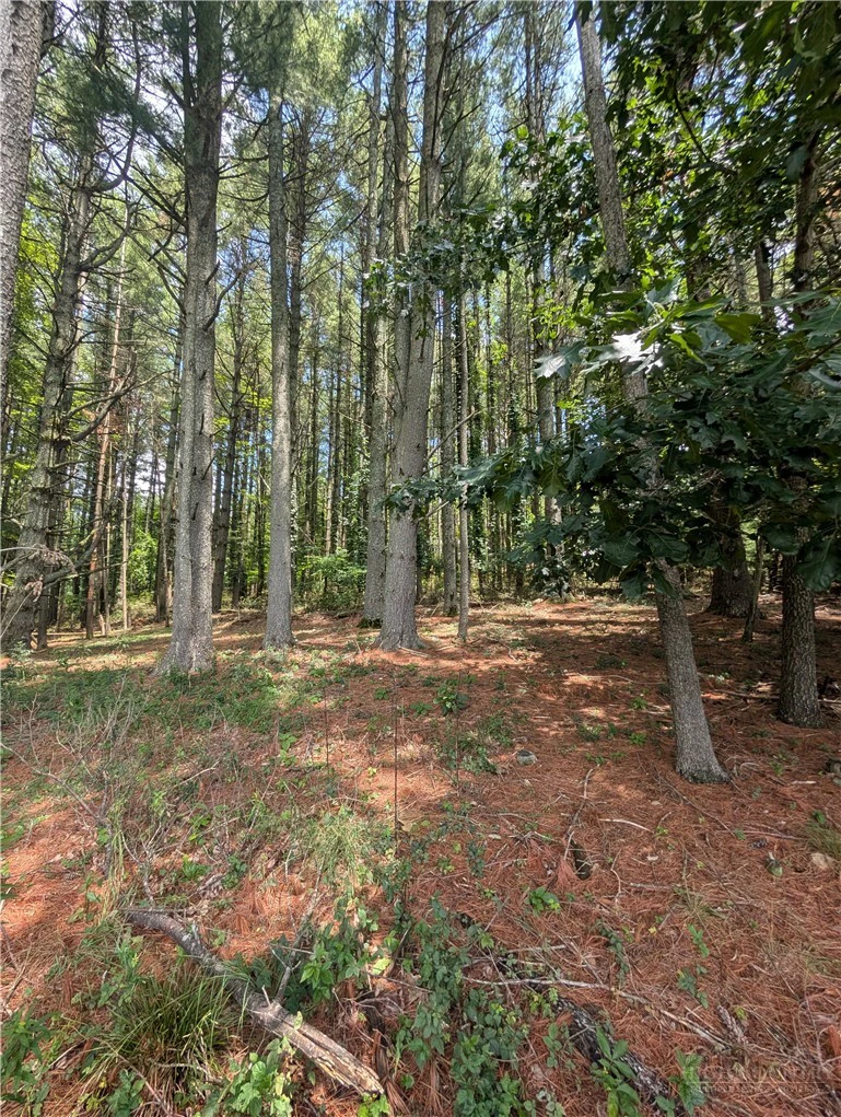 Image number 16 for the current listing