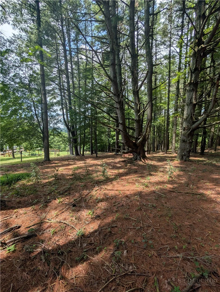 Image number 18 for the current listing