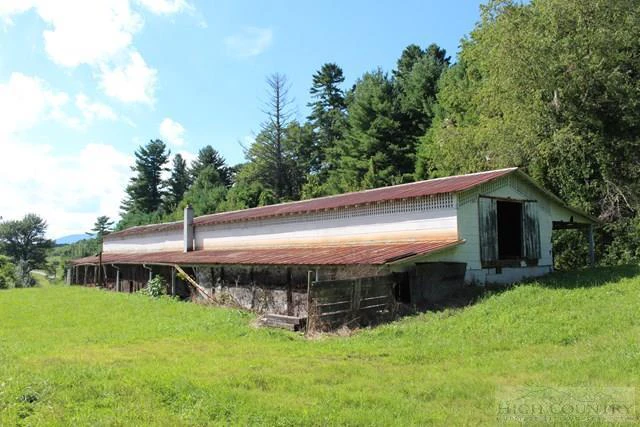 Image number 7 for the current listing