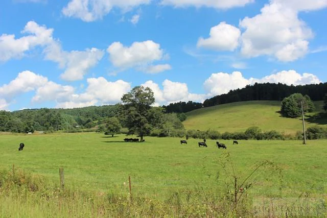 Image number 1 for the current listing