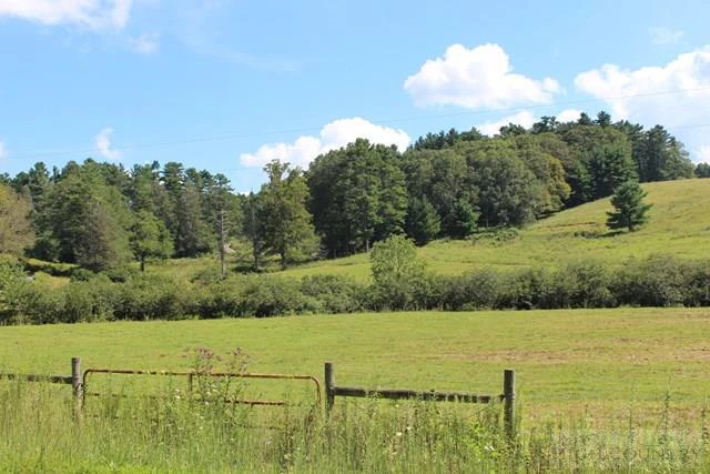 Image number 3 for the current listing