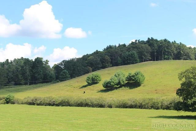 Image number 5 for the current listing