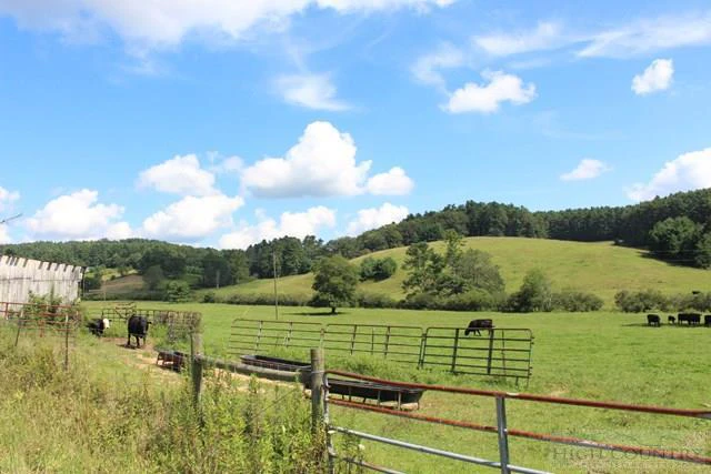 Image number 7 for the current listing