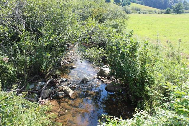 Image number 8 for the current listing