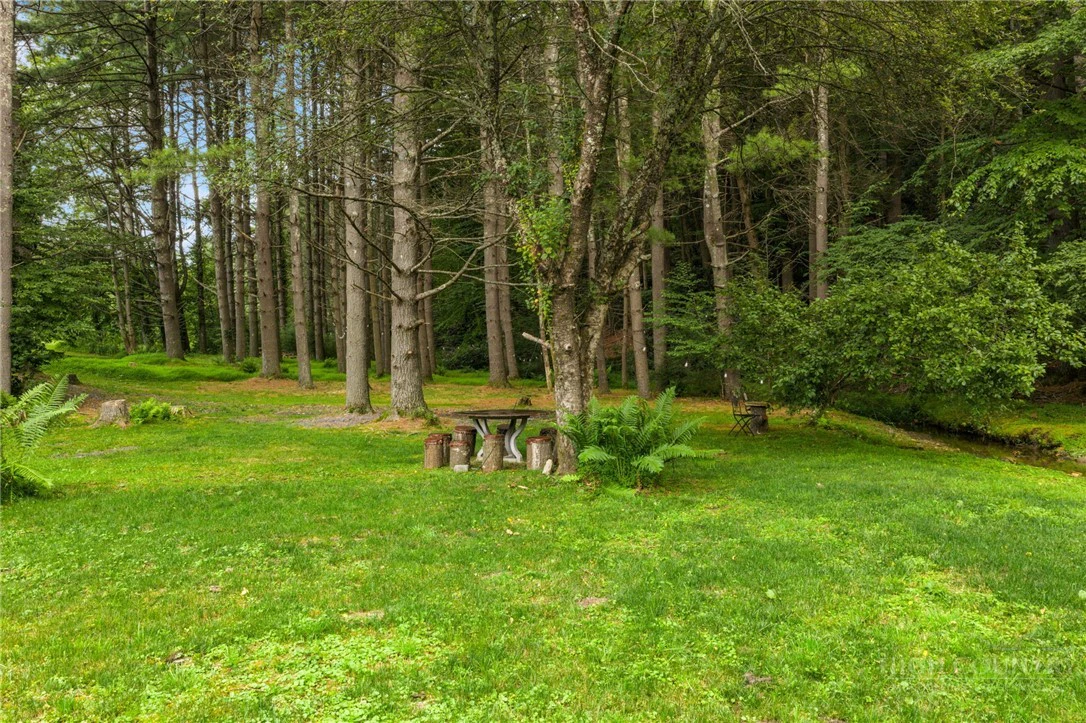 Image number 6 for the current listing