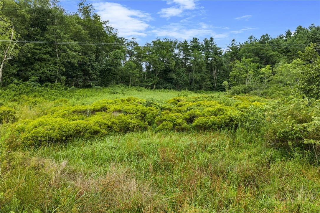 Image number 11 for the current listing