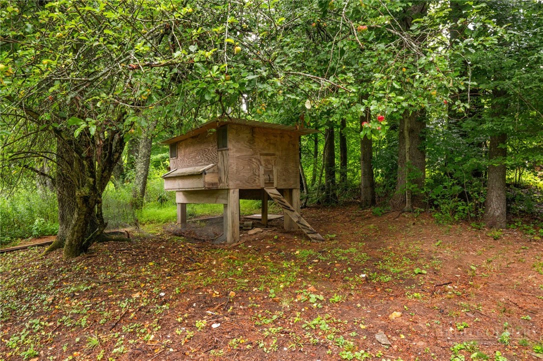 Image number 13 for the current listing