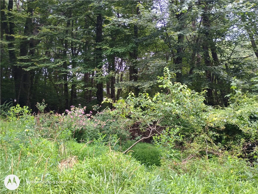 Image number 2 for the current listing